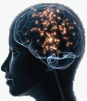 Molécules et cellules ciliées Recherche sur les molécules