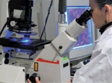 Imagerie médicale les cellules ciliées en haute définition