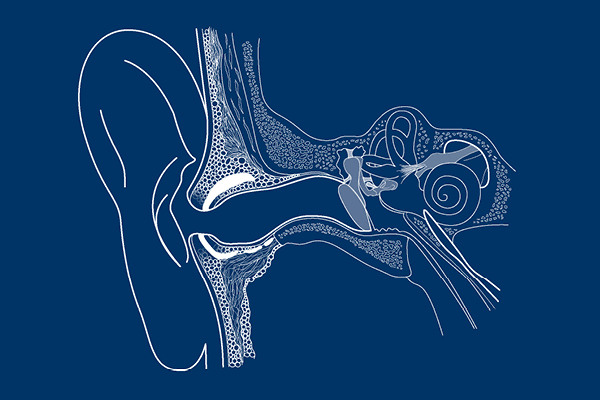 Site_Comprendre_2022_S_60