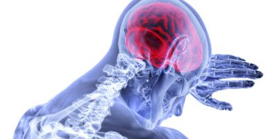 Entendre est un phénomène sensoriel et moteur qui agit sur différents cortex cérébraux