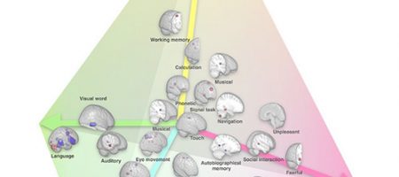 Les aides auditives protègent certaines fonctions du cerveau