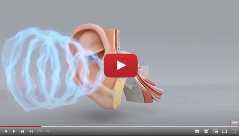 Vidéo : Comment fonctionne le système auditif | Aides auditives Signia - Audition Conseil