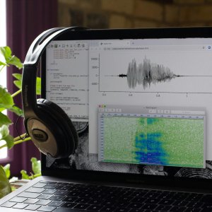 Tout savoir sur le spectrogramme avec votre expert de l'audition en France