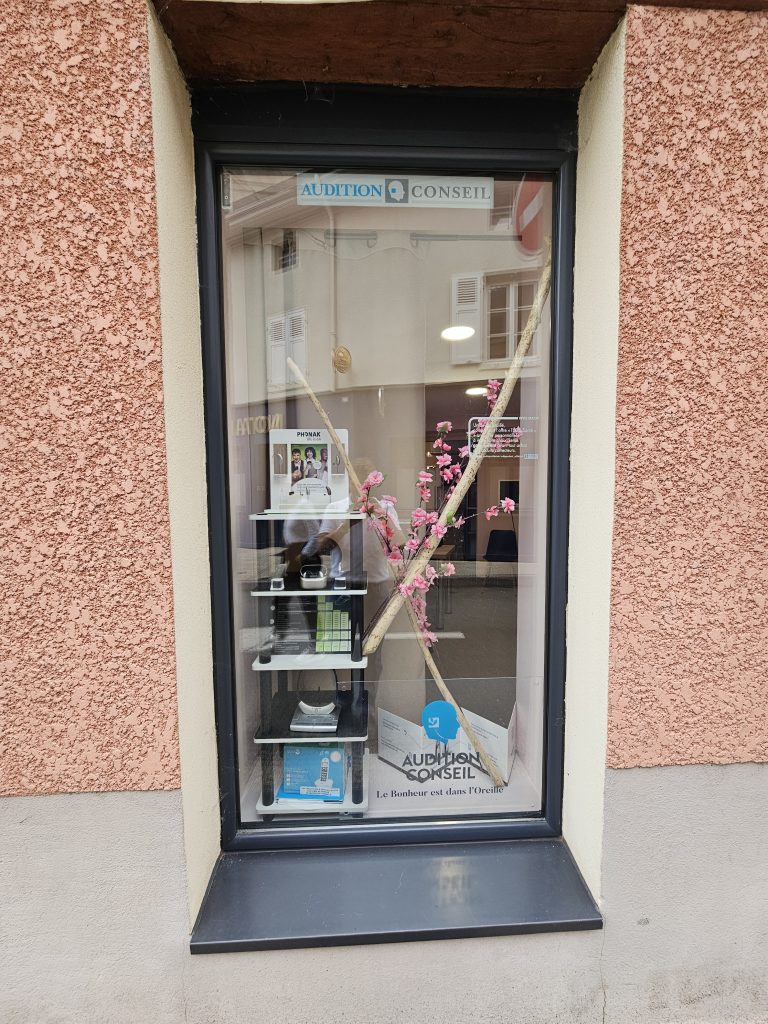 Audition Conseil Bessenay  3