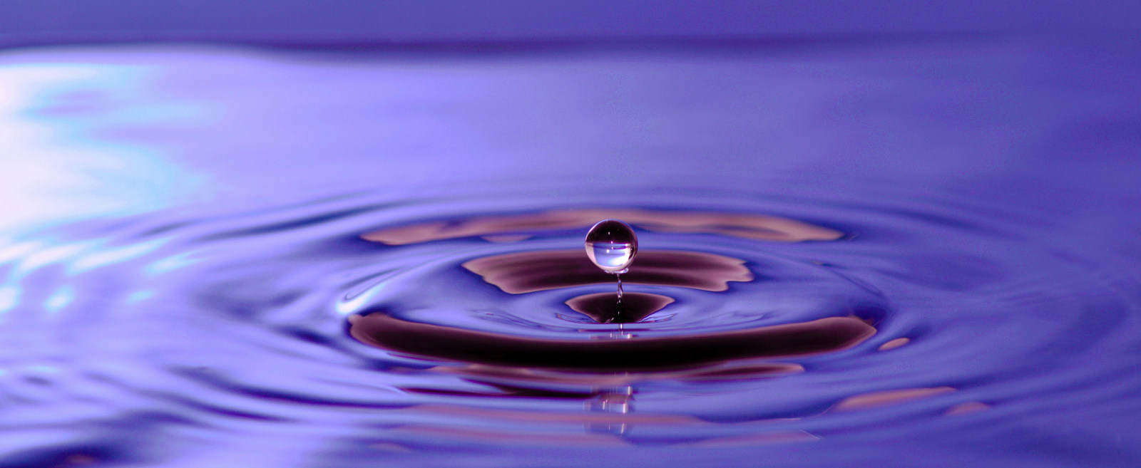 Tout savoir sur le déplacement du son dans l'eau, avec votre spécialiste de l'audition en France