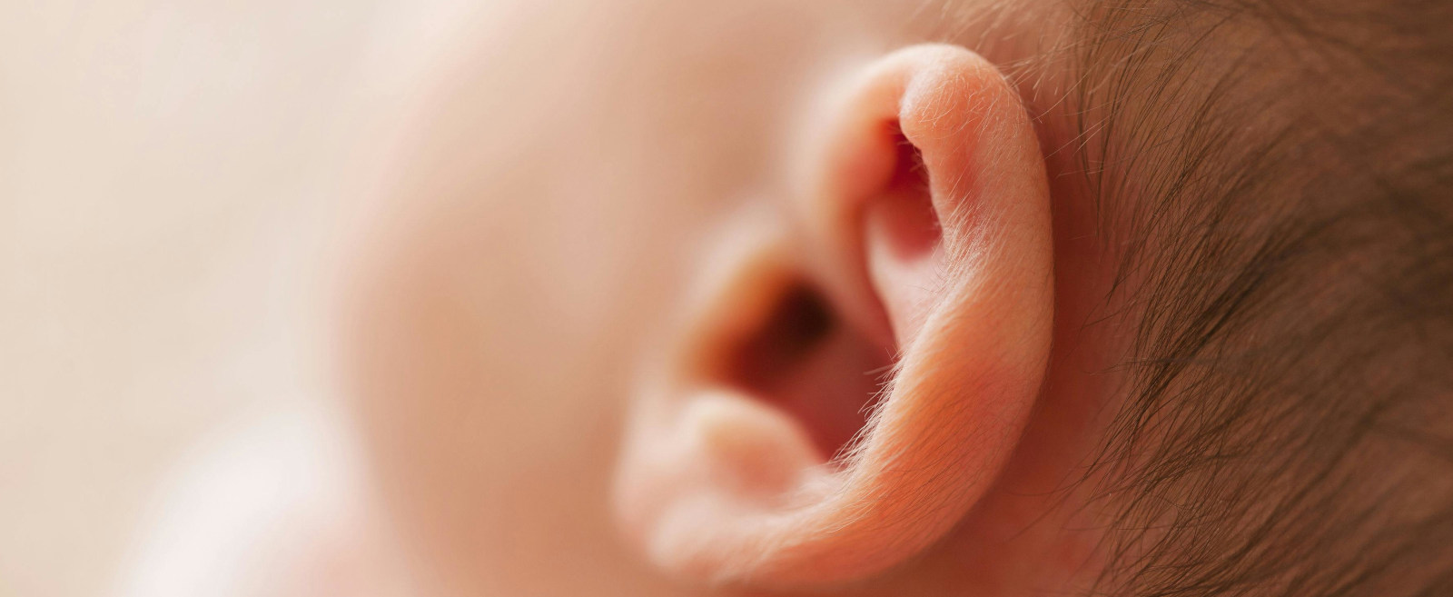 Votre spécialiste de l'audition en France vous en dit plus sur le pavillon de l'oreille